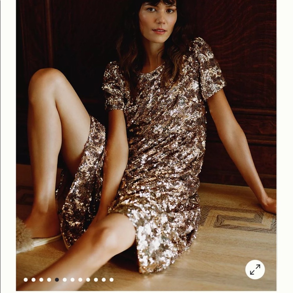 ♥️ Anthropologie WOW Rose Gold Sequin Short Sleeve Dress